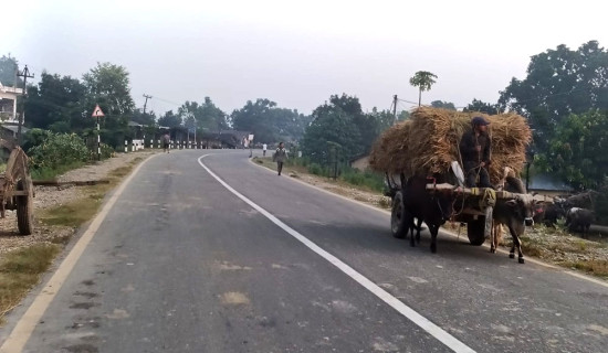 हुलाकी राजमार्ग : दुर्घटनाको जोखिम