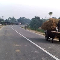 प्रमको न्युयोर्क भ्रमणको अन्तिम तयारी