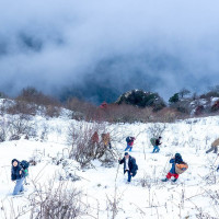 फ्रान्सले युरोपलाई जोगाउन आणविक हतियार बढाउने