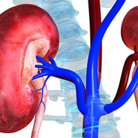प्रधानमन्त्रीसमक्ष जेनजी आन्दोलनको क्षतिसम्बन्धी प्रतिवेदन पेस