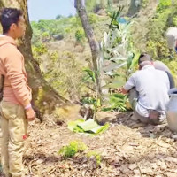 रथयात्रासँगै फोटो प्रदर्शनी