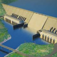 मानव अङ्ग प्रत्यारोपणमा उल्लेख्य सफलता