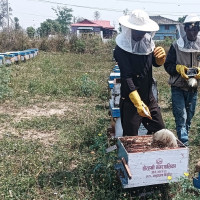 यस्तो छ आजका लागि निर्धारित विदेशी मुद्रा विनिमयदर