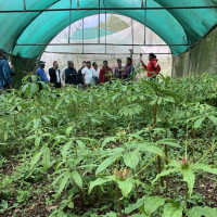 तनहुँ–१ मा रास्वपाका वाग्ले दोब्बर बढी मतान्तरले अगाडि