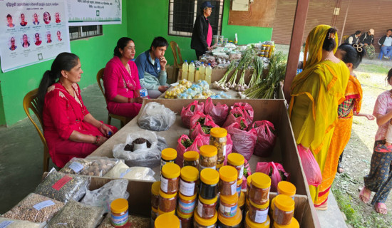 किस्ता नतिर्दा ऋणीको घरमा बैंकले पठायो सुरक्षा गार्ड