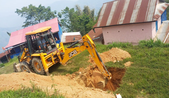 अवैध रूपमा भित्र्याइएका कुखुराका चल्ला नष्ट