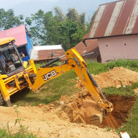 सर्पको डसाइले महिलाको मृत्यु