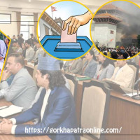 प्रतिनिधि सभामा बाह्र दलको प्रवेश