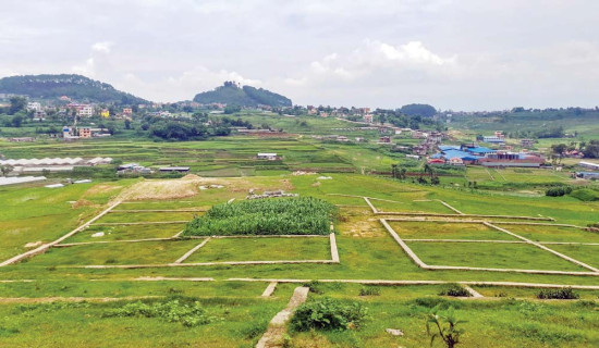 वैदेशिक रोजगार बचतपत्र बिक्री गरिँदै