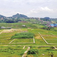 घरजग्गा कारोबार तीन वर्षयताकै उच्च विन्दुमा