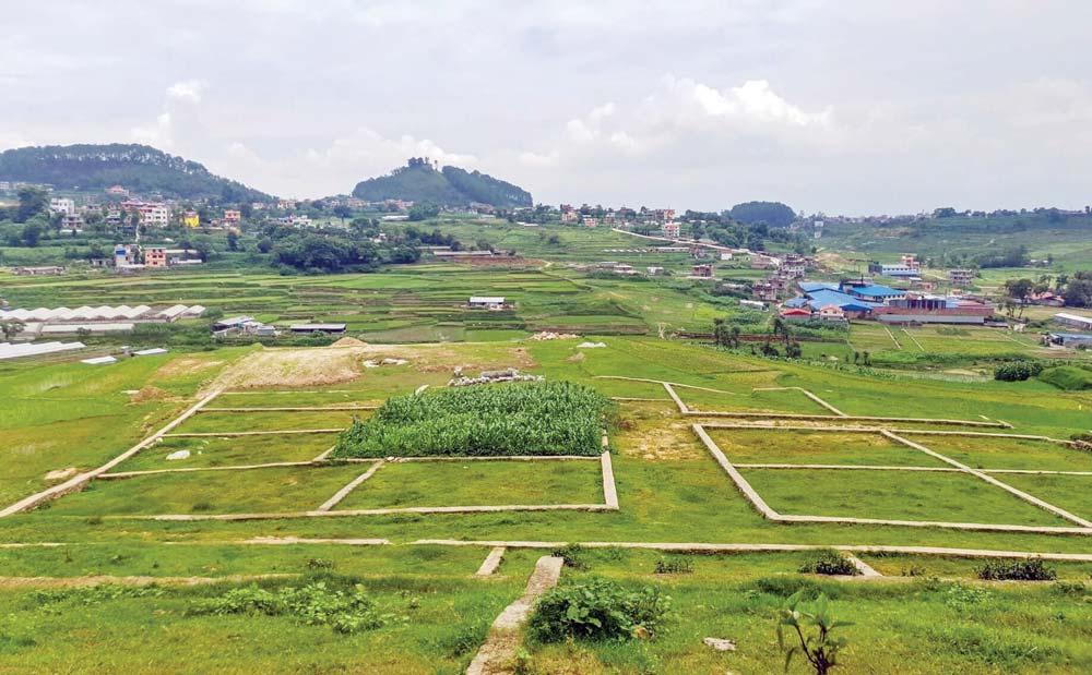 घरजग्गा कारोबार तीन वर्षयताकै उच्च विन्दुमा