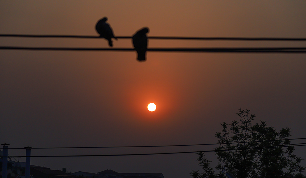 नयाँ वर्षको पहिलो सूर्योदय (फोटो फिचर)