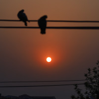 उपचारमा ढिलाे गरे जन्मजात मुटुरोग निको पार्न गाह्रो हुन्छ : डा. शर्मा