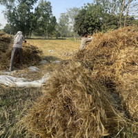 रूपान्तरणको अध्याय