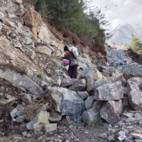 सप्तरीमा १४ फरार प्रतिवादी पक्राउ