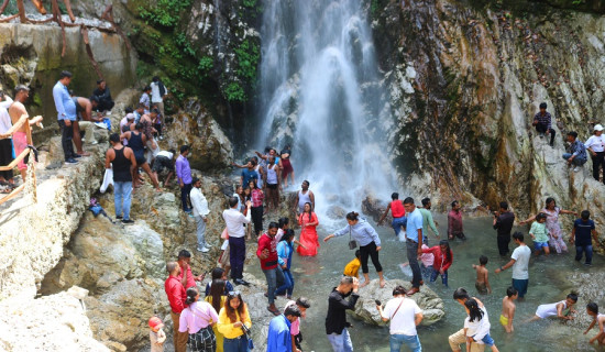 जाडो बिदाको उपयोग