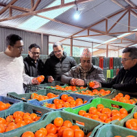 शैक्षिक स्मरण