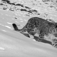 त्रिवेणी धाममा भक्तजनको घुइँचो, नेपाल–भारत तीर्थालुको संगम