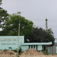 नव वर्षले एकता र आपसी सद्भाव कायम राख्नेः मुख्यमन्त्री बानियाँ