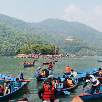 विभागद्वारा एकैदिन ५४ फर्ममा अनुगमन