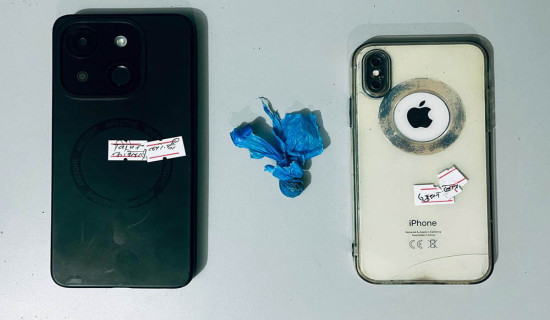 पोखरामा लागुऔषधसहित तीन जना पक्राउ