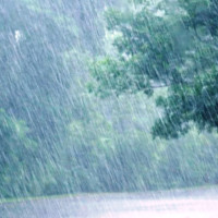 सितार वादक हिमालयन सितारको ‘वेदांशी’ रिलिज