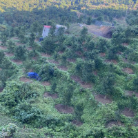 ‘सुशासन र विकासको अनुभूति हुने गरी काम गर्छु’