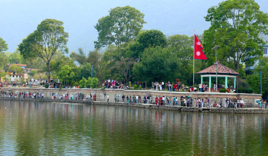 भान्जाद्वारा मामाको हत्या