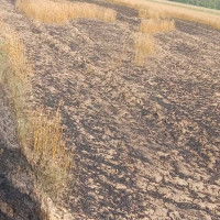 नयाँ वर्षको पहिलो सूर्योदय (फोटो फिचर)