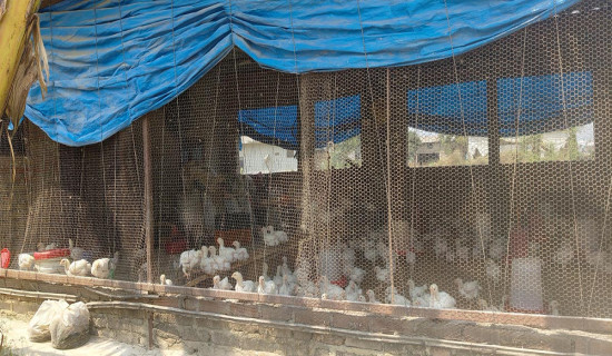 मध्यपूर्व युद्धले भारतको ग्यास आपूर्ति जोखिममा