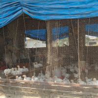 मनाङमा ट्रक दुर्घटना: चालकको मृत्यु