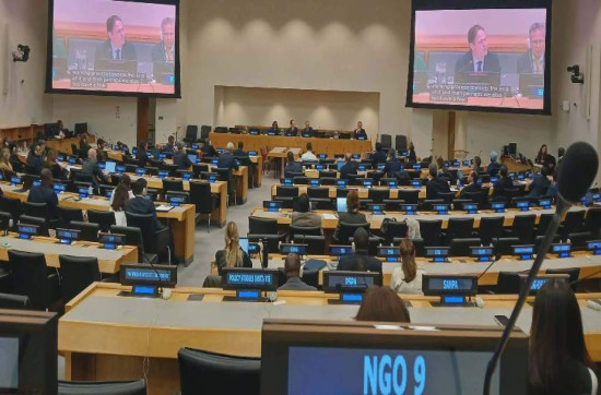 सार्क पत्रकार मञ्चका अध्यक्ष लामा राष्ट्र संघको बैठकमा सहभागी