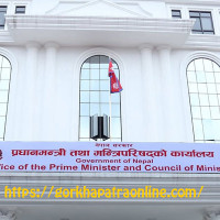 छोरी बिरामी भएपछि चम्केको ड्रयागन फ्रुट खेती