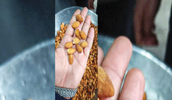 मन्त्रीकै खाजामा किरा परेको ड्राइफ्रुट्स