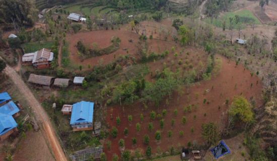 धार्मिक सम्प्रदायभन्दा माथि गाईजात्रा