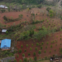 अटो दुर्घटना हुँदा चालकसहित सात जना घाइते