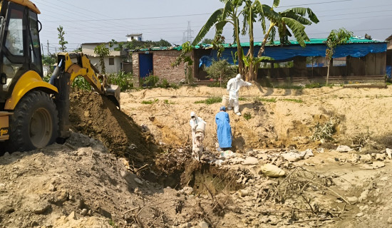 नवलपरासीमा बर्डफ्लु पुष्टि, सीमामा सतर्कता
