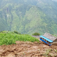 स्याङ्जामा डढेलोमा कमी आयो