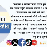 स्याङ्जामा डढेलोमा कमी आयो