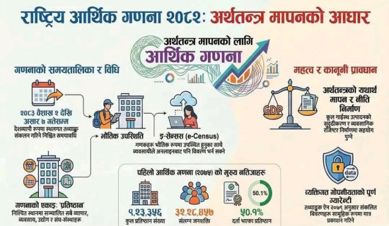 स्याङ्जामा डढेलोमा कमी आयो