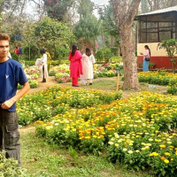 चौँरी तथा याक प्रदर्शन गर्दै सिरिजङ्घा