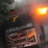 भालुको आक्रमणबाट दुई जना घाइते