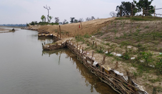 लामो समयसम्म पानी नपर्दा हिउँदे बाली सुक्दै