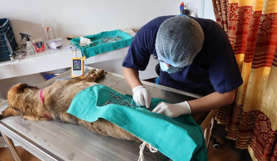 जबरजस्ती करणी गरी फरार रहेका आरोपी पक्राउ