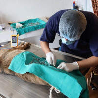 पाल्पामा धान उत्पादनमा वृद्धि