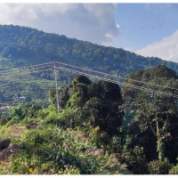 पर्वले आपसी भाइचारा र एकता कायम राख्न मद्दत पुग्छः प्रदेश प्रमुख देवकोटा