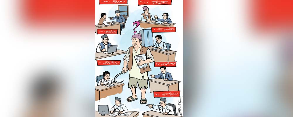 ढोका चहार्दै हैरान छन् किसान