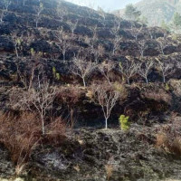 मन्त्री किरातीद्वारा गौतमबुद्ध अन्तर्राष्ट्रिय विमानस्थलको निरीक्षण