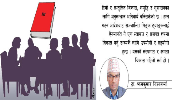 पुनर्संरचना बहसमा ‘थिङ्क ट्याङ्क’