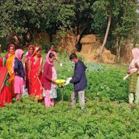 एन्फामा ‘ए’ डिभिजन क्लबको धर्ना जारी